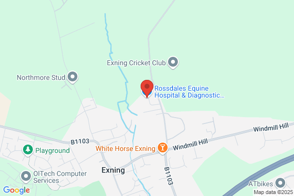 Rossdales Equine Hospital & Diagnostic Centre