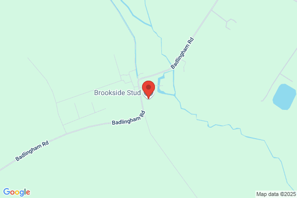 Brookside Stud Ltd