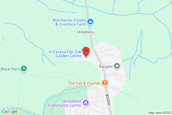 Winnies Of Winchester