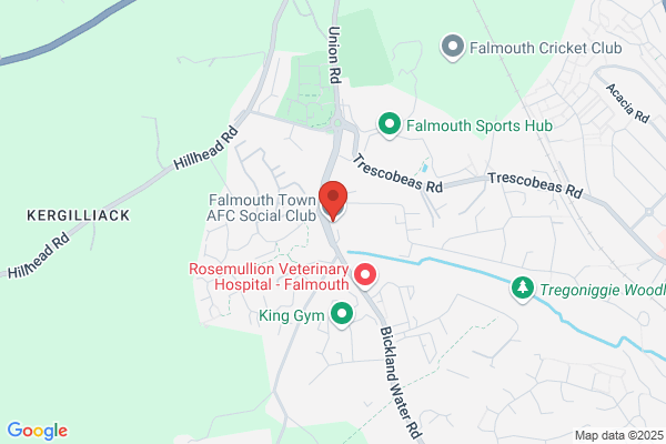 Falmouth Town AFC