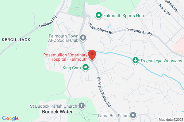 Rosemullion Veterinary Hospital - Falmouth