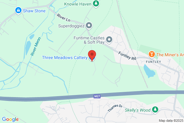 Three Meadows Cattery