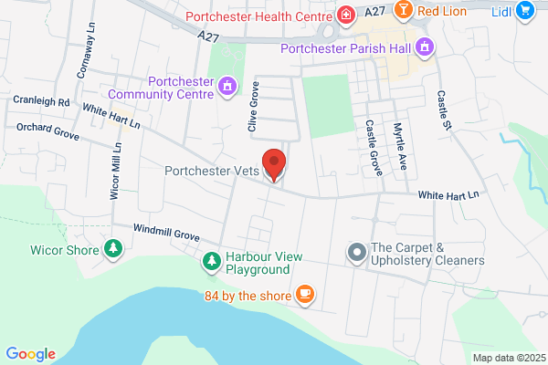 Acorn Veterinary Surgery