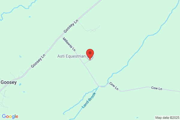 Asti Stud & Saddlery