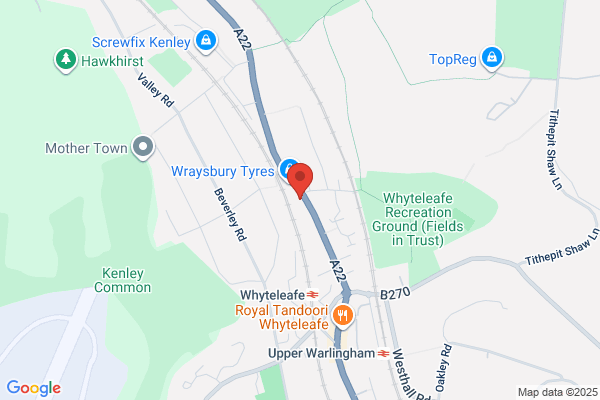 Warlingham & Surrey Tree Surgeon