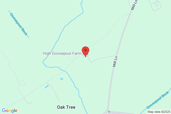 Goose Farm