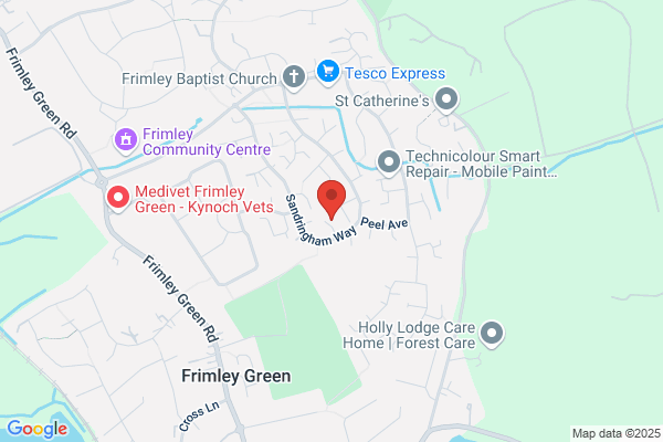 Surrey Building Services
