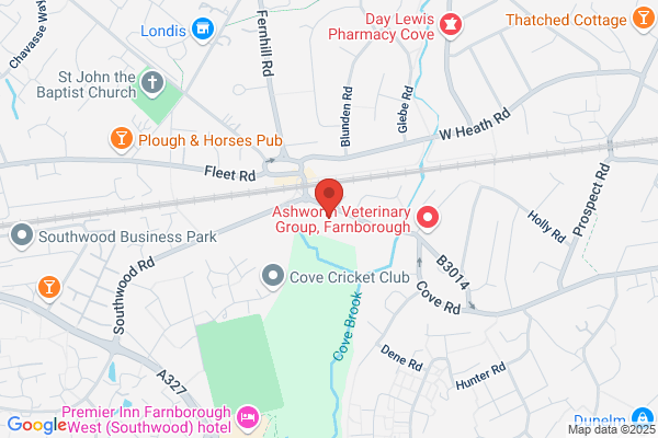 Jenner House Surgery