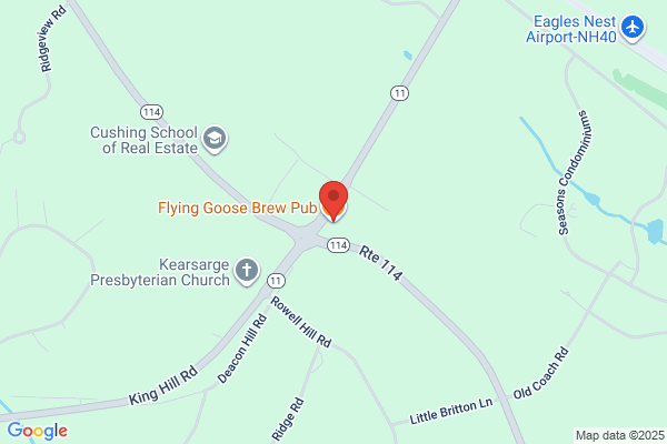 Flying Goose