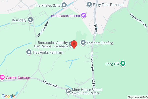 Edgeborough School