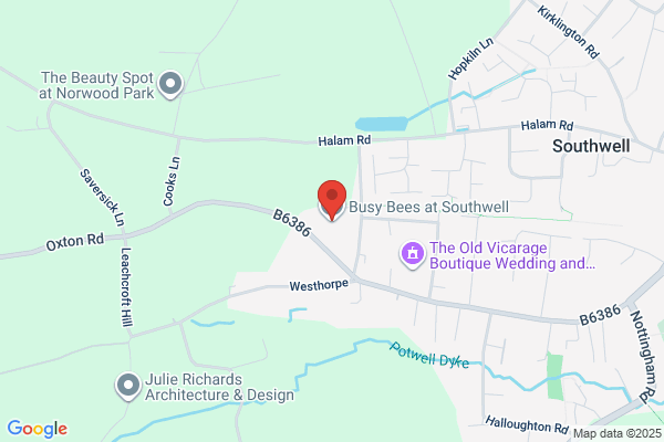 Busy Bees at Southwell