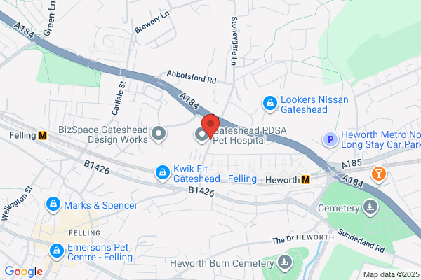 Sunbelt Rentals Non-Mechanical