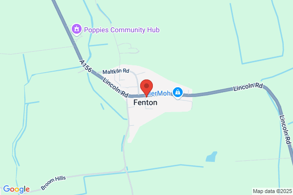 Fenton Tree Surgery