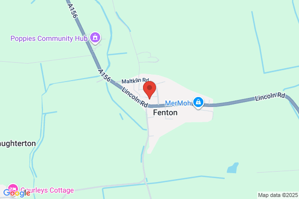 Trimmy's Dog Grooming
