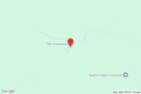 The Groomery
