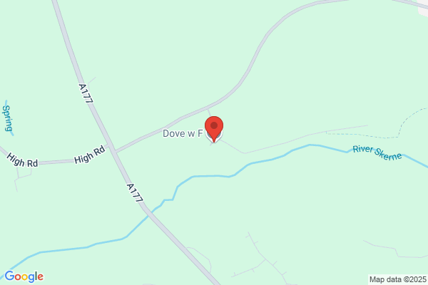 W F Dove