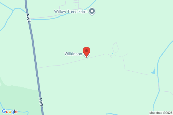 Wilkinson
