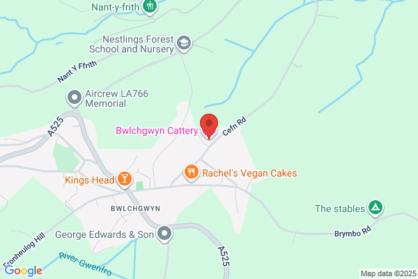 Bwlchgwyn Cattery