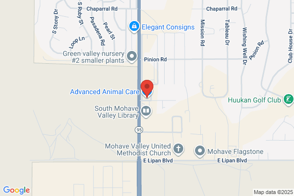 Advanced Animal Care