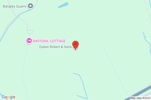 Robert Dykes
