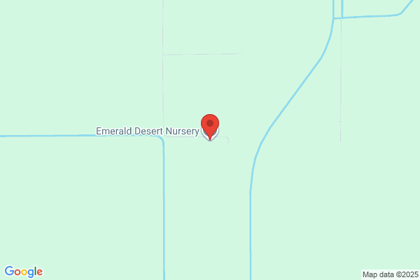 Emerald Nursery