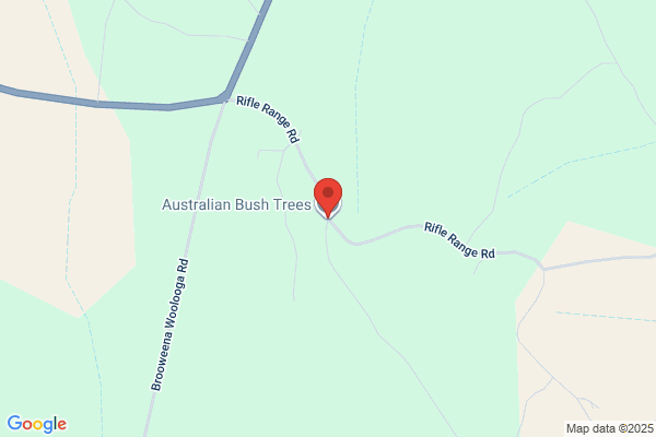 The Australian