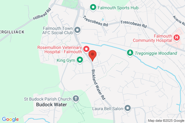 Falmouth Bridal Centre