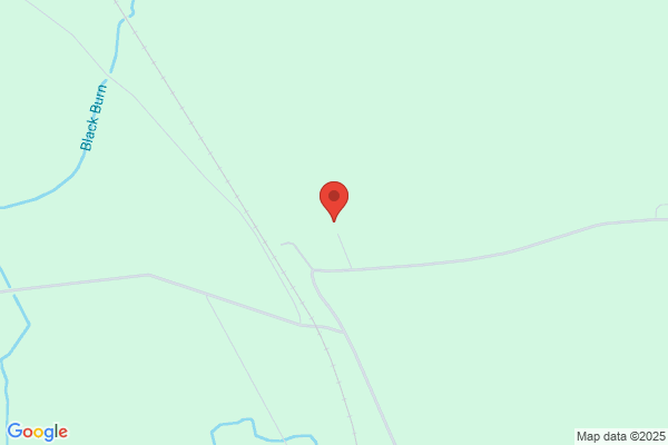 Animal Country Hotel