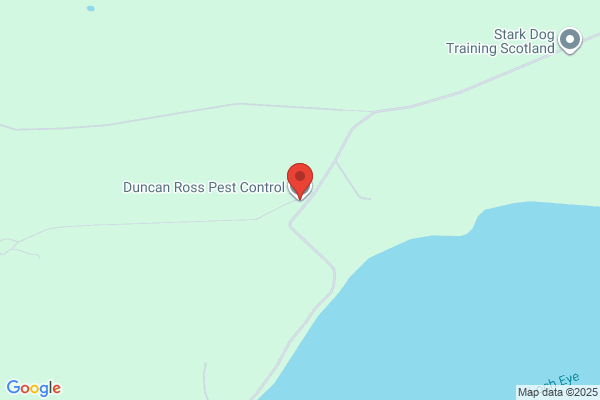Duncans