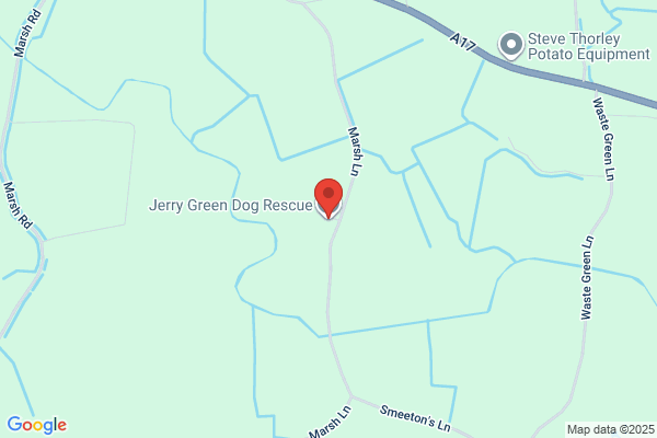 The Jay Gee Dog Sanctuary
