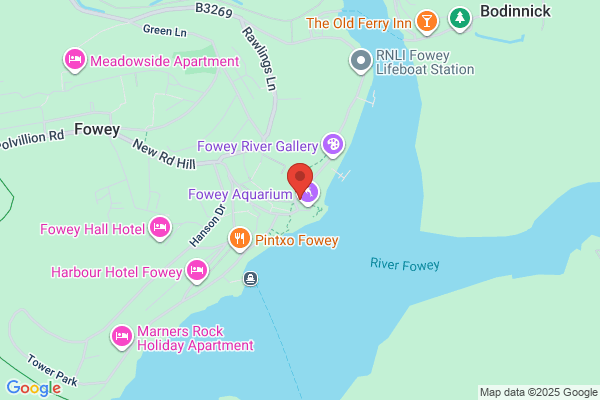 Fowey News