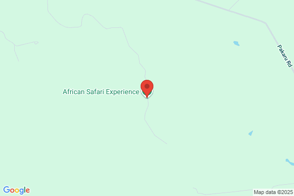 African Safari Experience