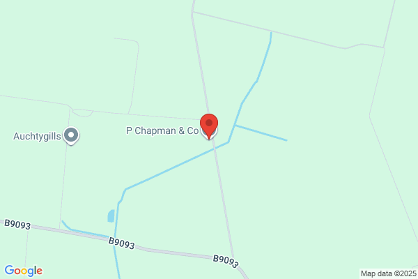 Chapman P & Co