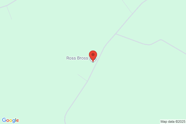 Allan A Ross