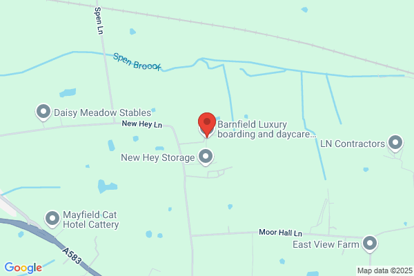 Barnfield Luxury boarding and daycare for dogs