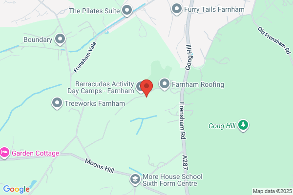 Edgeborough School