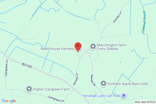 Manley Boarding Kennels