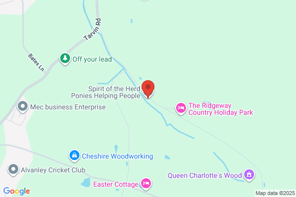 Frodsham Rescue Services