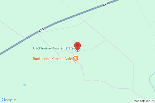 David Backhouse