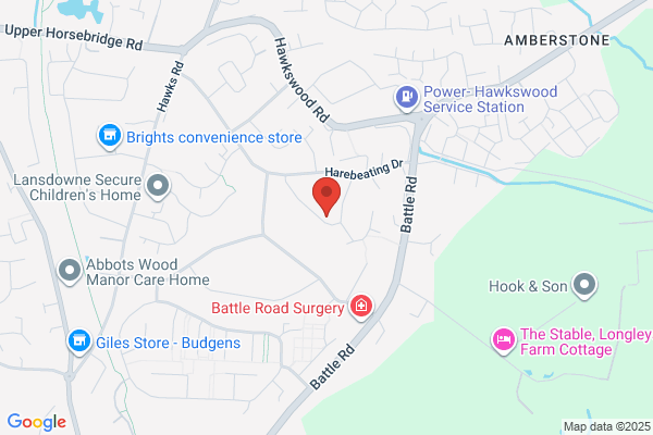 Ascending Arbs Tree Services