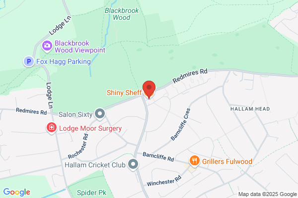 Shiny Sheff