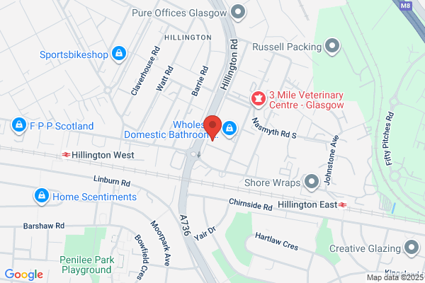 York International Ltd