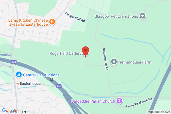 Rogerfield Cattery