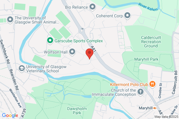 Viking Technology Ltd