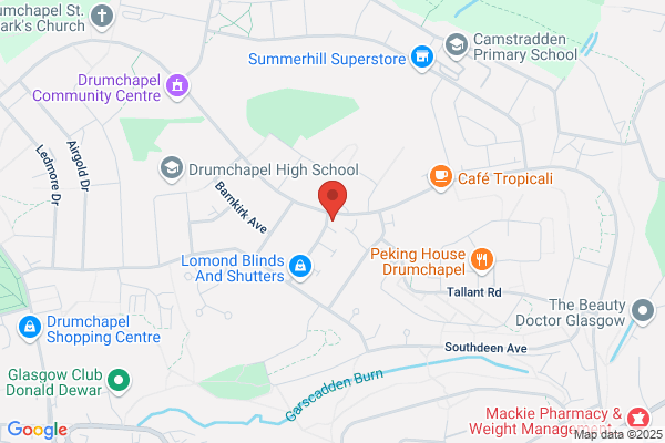 Drumchapel Disabled Action 2