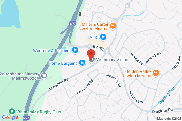 Domino's Pizza - Glasgow - Newton Mearns