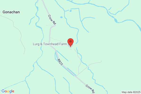 Lurg & Townhead Farm