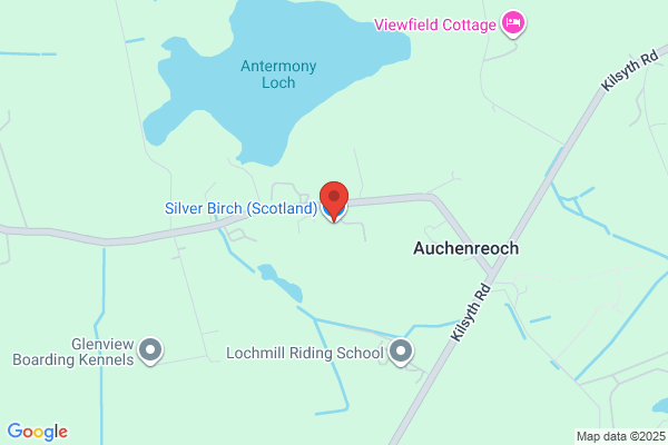 Silver Birch Ltd