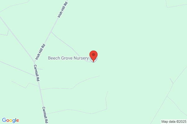 Beechwood Nurseries
