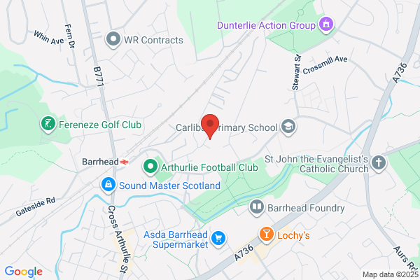 Wise Knotweed Solutions - Glasgow